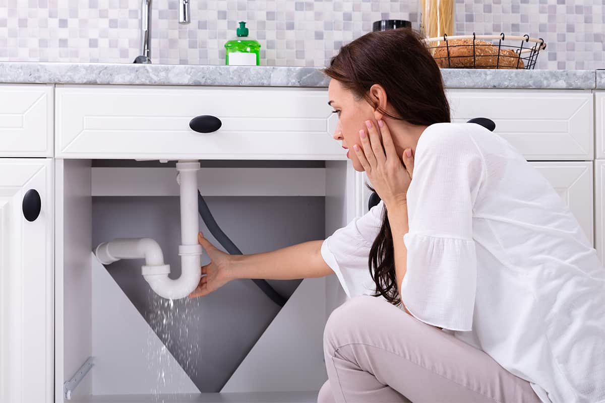 Addressing Common Winter Plumbing Issues and Prevention Tips