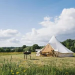 Luxury glamping pods